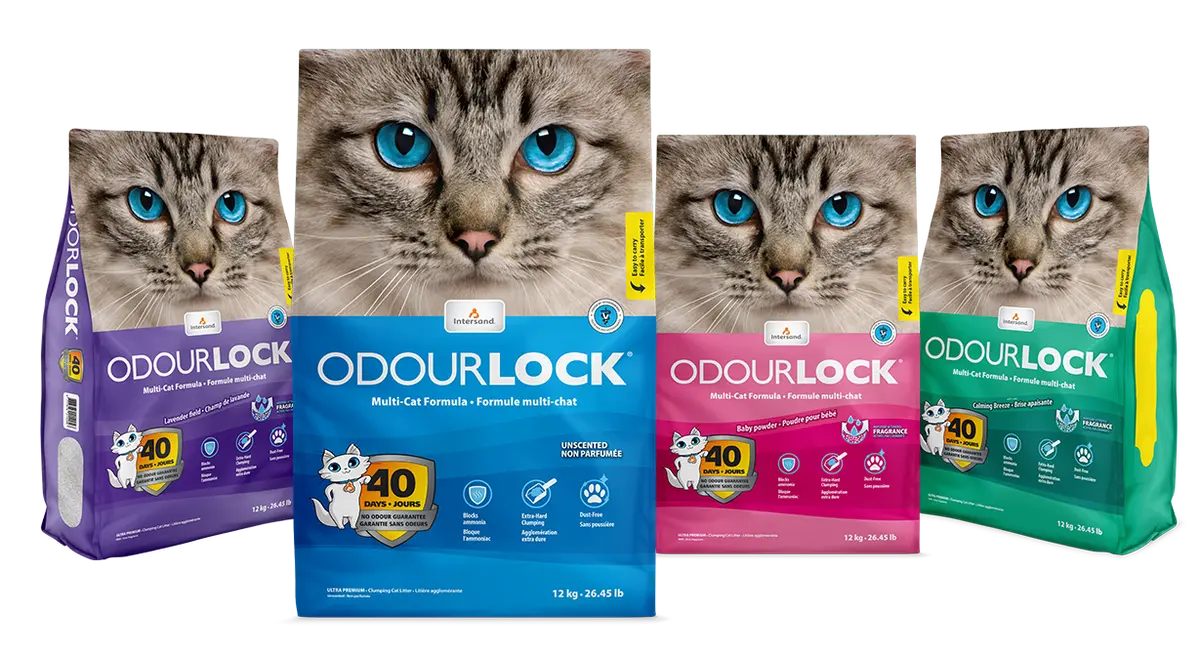 Intersand Odourlock Cat Litter 25Lb 1