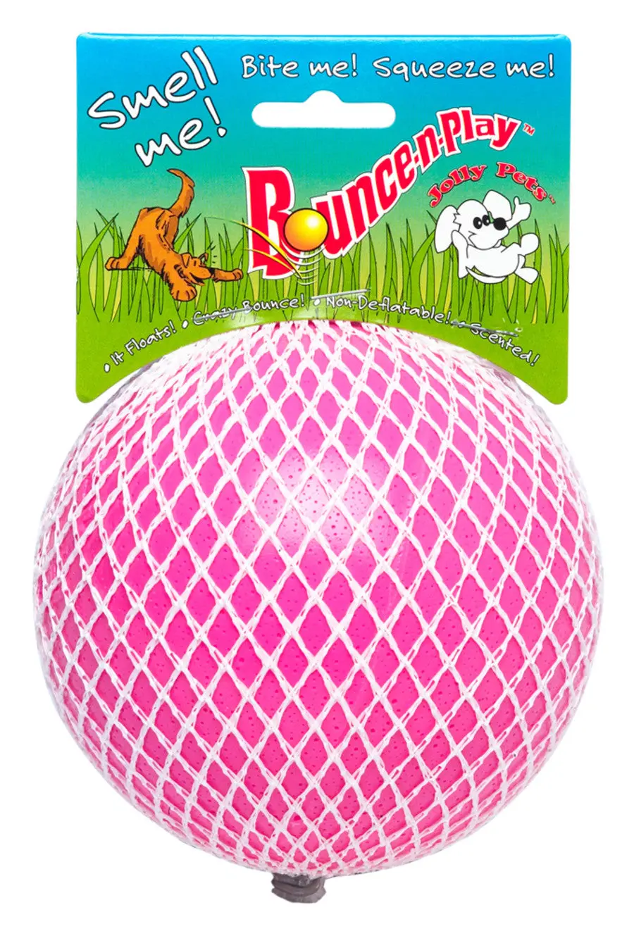 Jolly Pets Bounce N Play 1