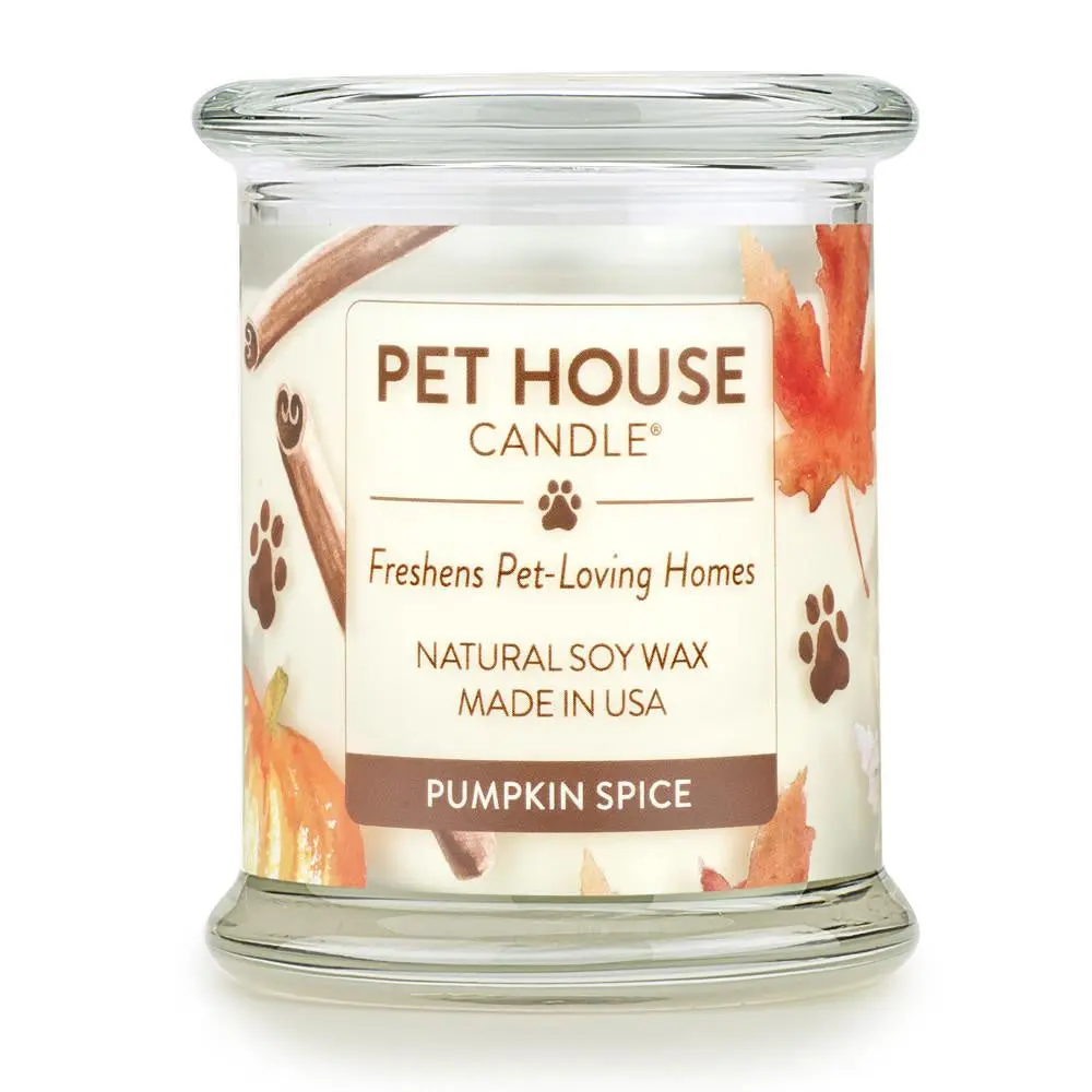 Pet House Candles Pumpkin Spice 1