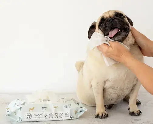 The New Zealand Natural Pet Food Woof Manuka Honey Dog Wipes 1