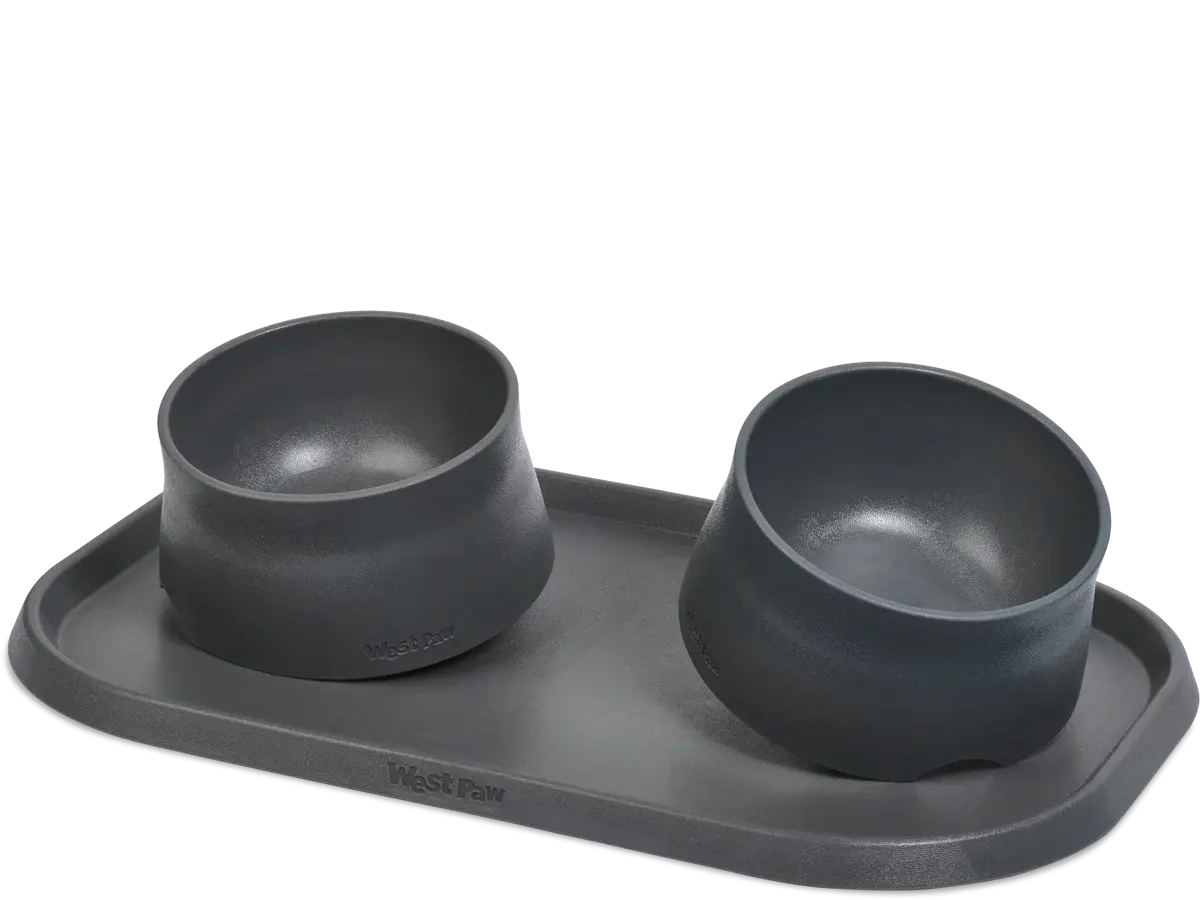 West Paw Seaflex No-Slip Bowl 2