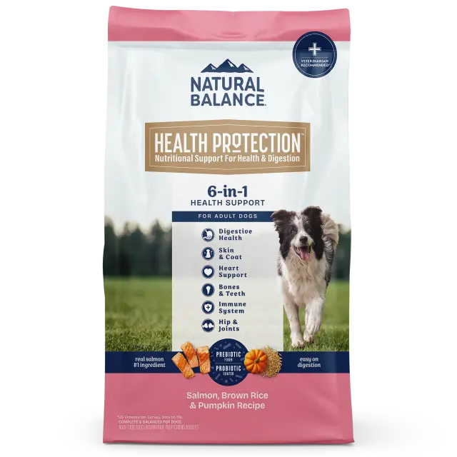 Natural Balance Salmon, Brown Rice & Pumpkin Recipe Dry Dog Food 1