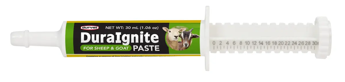 Durvet Duraignite Paste For Sheep And Goat 1