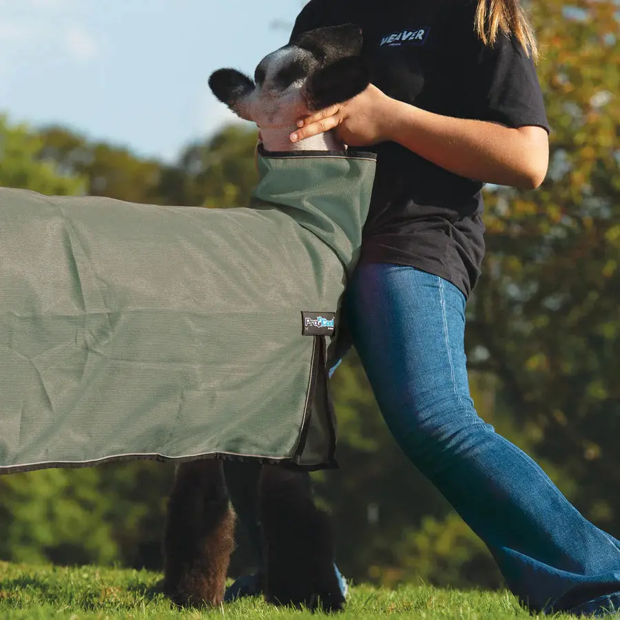 Weaver Livestock Procool™ Sheep Blanket With Reflective Piping, Mesh Butt 1