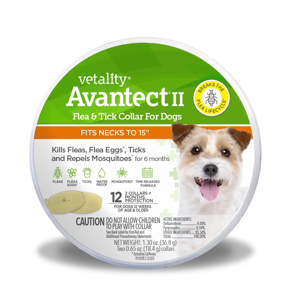 Vetality Avantect Ii Flea And Tick Collar For Dogs 1