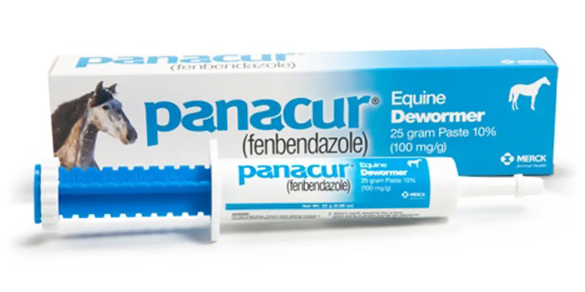 Merck Panacur (Fenbendazole) Paste 1