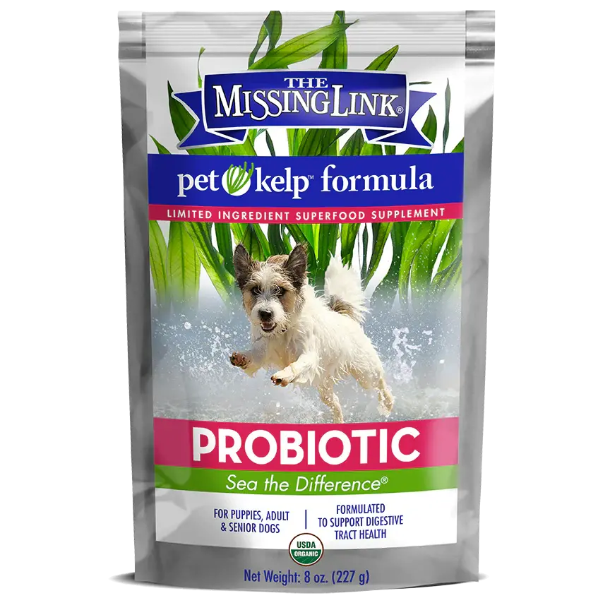 The Missing Link® Pet Kelp® Probiotic Blend Limited Ingredient Superfood Supplement For Dogs 1