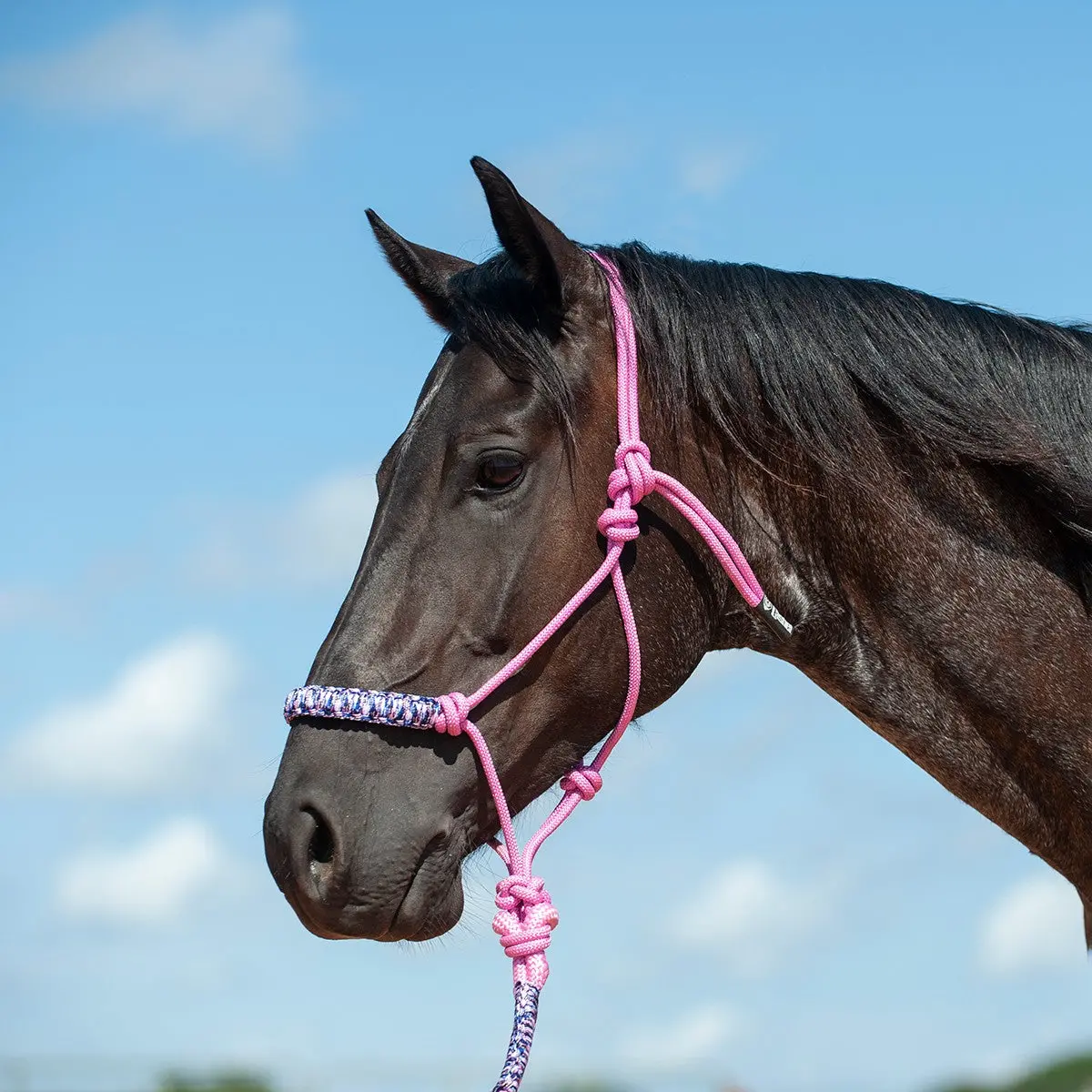 Cashel Braided Rope Halter And Leadrope 1