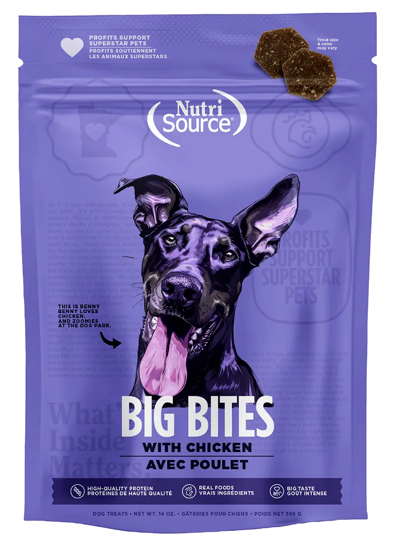 Nutrisource Chicken Big Bites High-Quality Protein Dog Treats 1