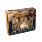 Galapagos Arid Environment Terrarium Kit 1