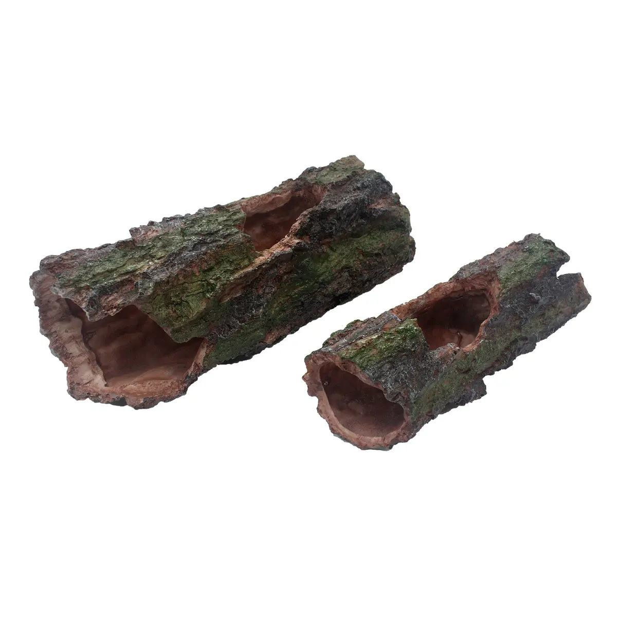 Komodo Forest Log 1