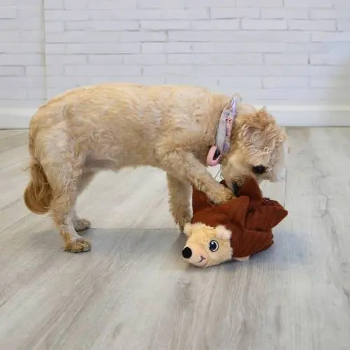 Kong Layerz Forage Hedgehog Dog Toy 2