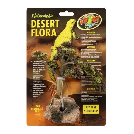 Zoo Med Desert Flora – Red Leaf Stonecrop 1