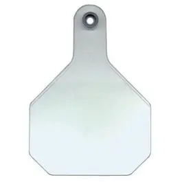 All American Livestock Tag, Blank, Large, White, 25-Pk. 1