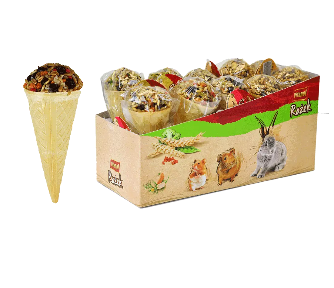 A&E Vitapol Ice  Cream Cone Display 1