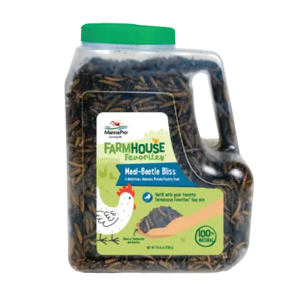 Manna Pro Farmhouse Favorites Meal-Beetle Bliss Poultry Treats 1