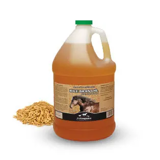 First Companion Rice Bran Oil 1