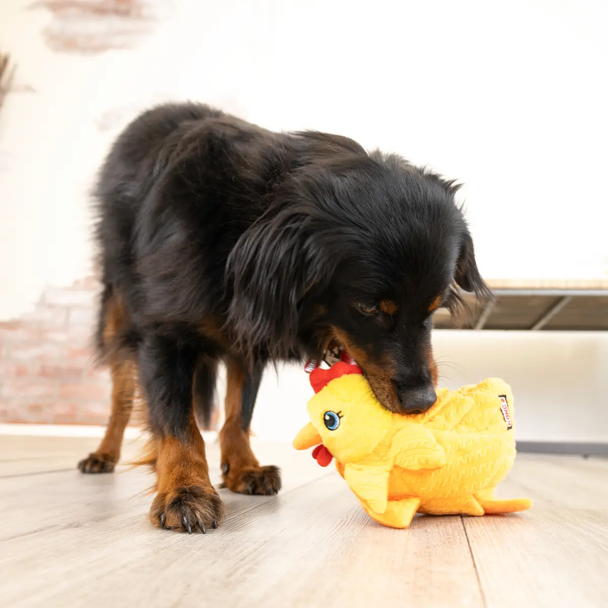 Kong Layerz Forage Hen Dog Toy 2