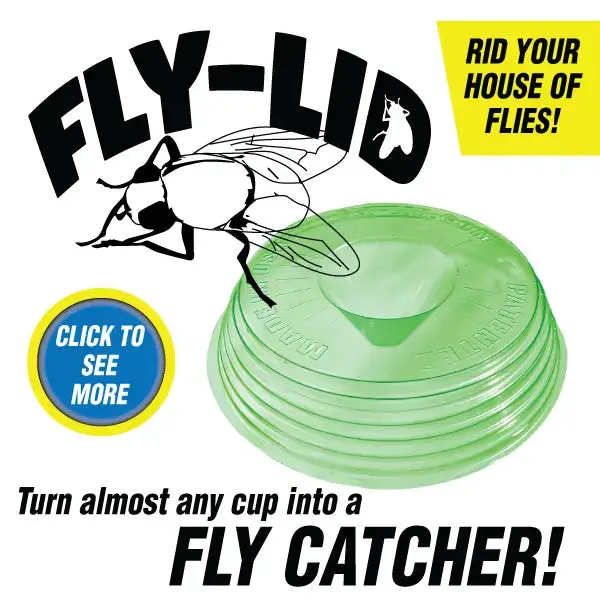 Billy Bob Fly Lid 1