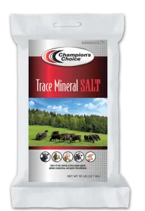 Champion's Choice Trace Mineral Salt 1