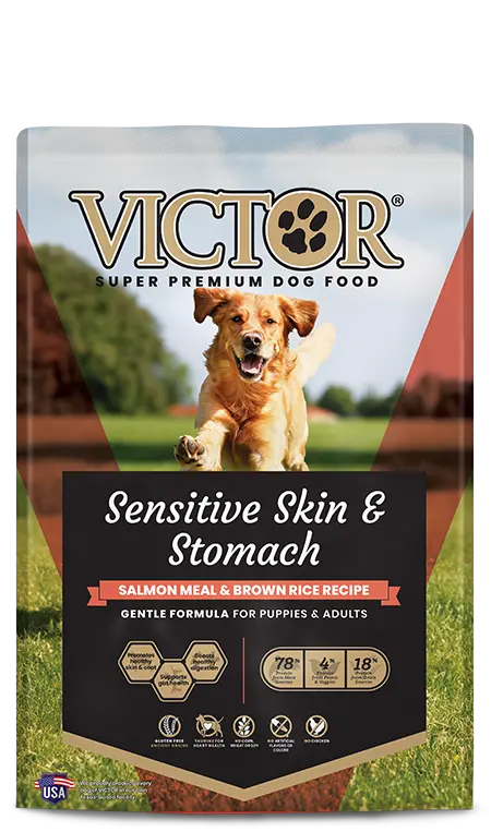 Victor Pet Sensitive Skin & Stomach Salmon Meal & Brown Rice Recipe Dry Dog Food 1