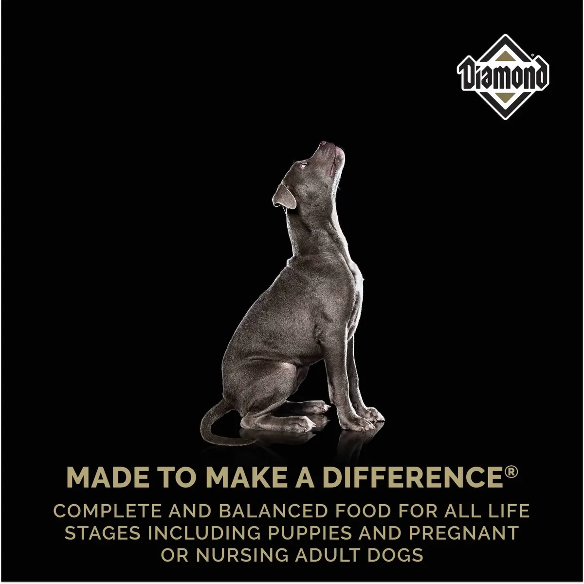 Diamond Puppy Dry Food 3