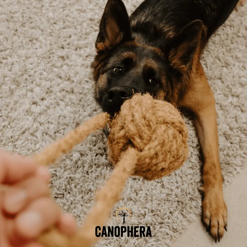 Canophera Coconut Rope Toys 3