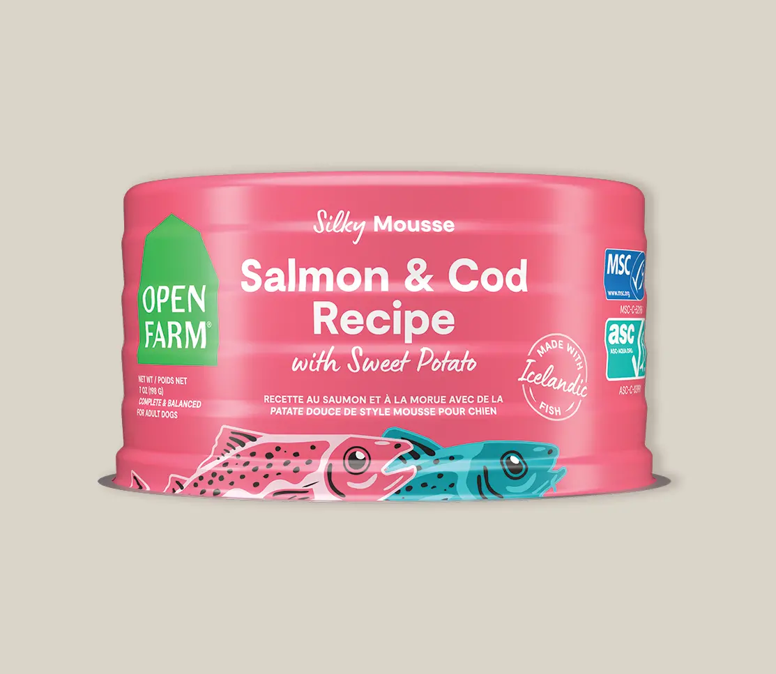 Open Farm Icelandic Salmon & Cod Wet Food For Dogs 1