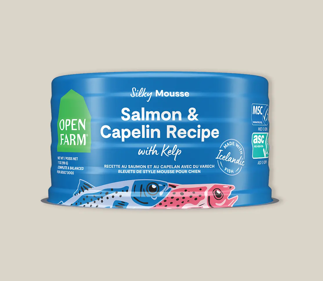 Open Farm Icelandic Salmon & Capelin Wet Food For Dogs 1