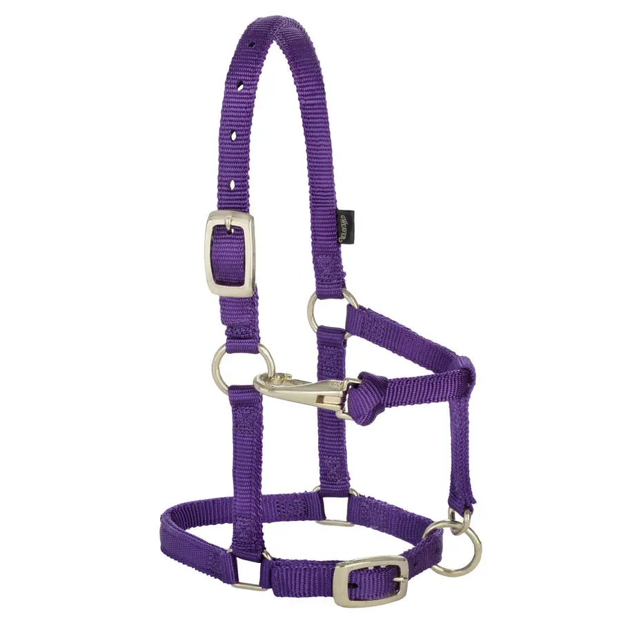 Weaver Miniature Horse Adjustable Chin & Throat Snap Halter 1