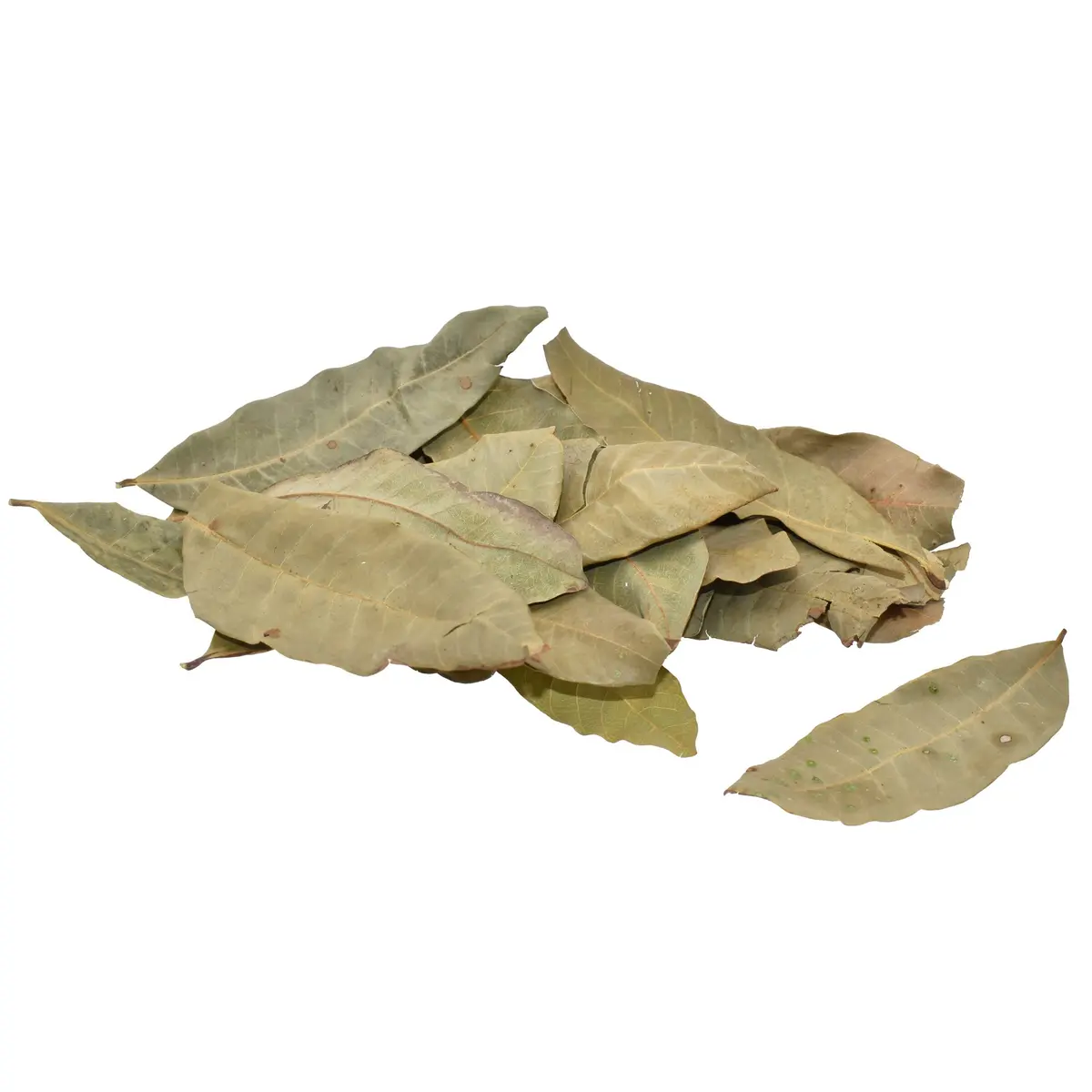 Komodo Dried Longan Leaf Litter 1