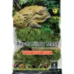 Galapagos Royal Pillow Moss 8Qt 1