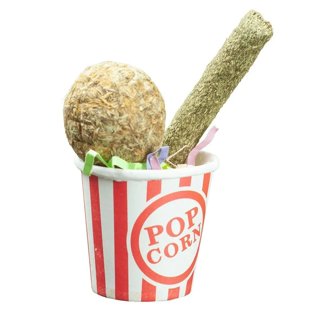 A & E Cage Milkshake Small Animal Treats 1