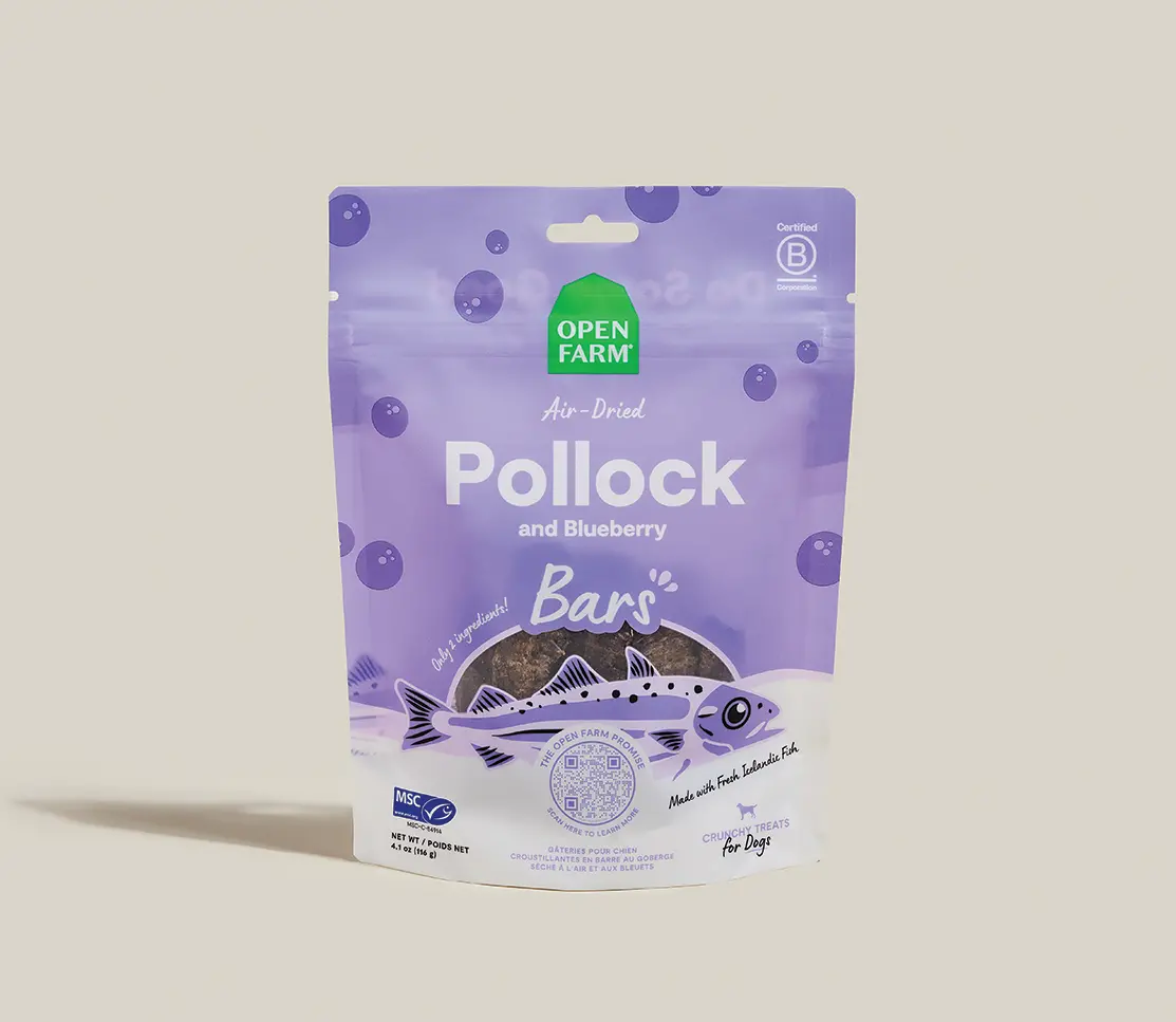 Icelandic Air-Dried Pollock & Blueberry Dog Treat Bars 1