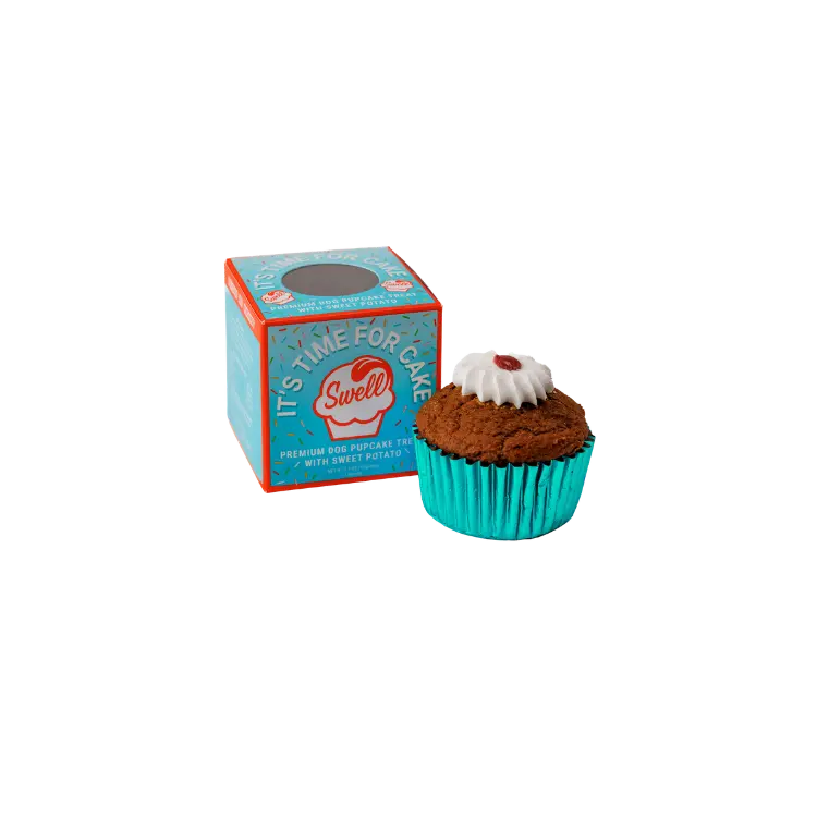 Swell Gelato Frozen Pumpkin Pupcake Dog Treat 1