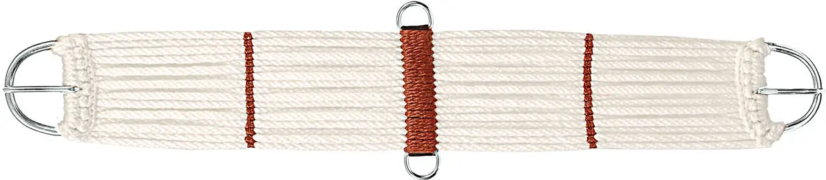 Mustang Classic Pleasure Cinch 1