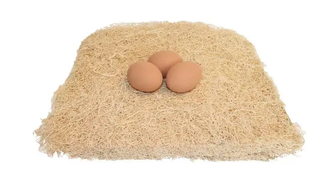 Little Giant Fiber Poultry Nesting Pads 1