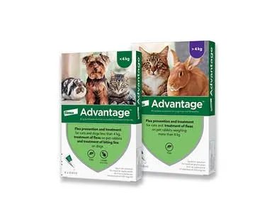 Elanco Advantage® For Large Cats 1