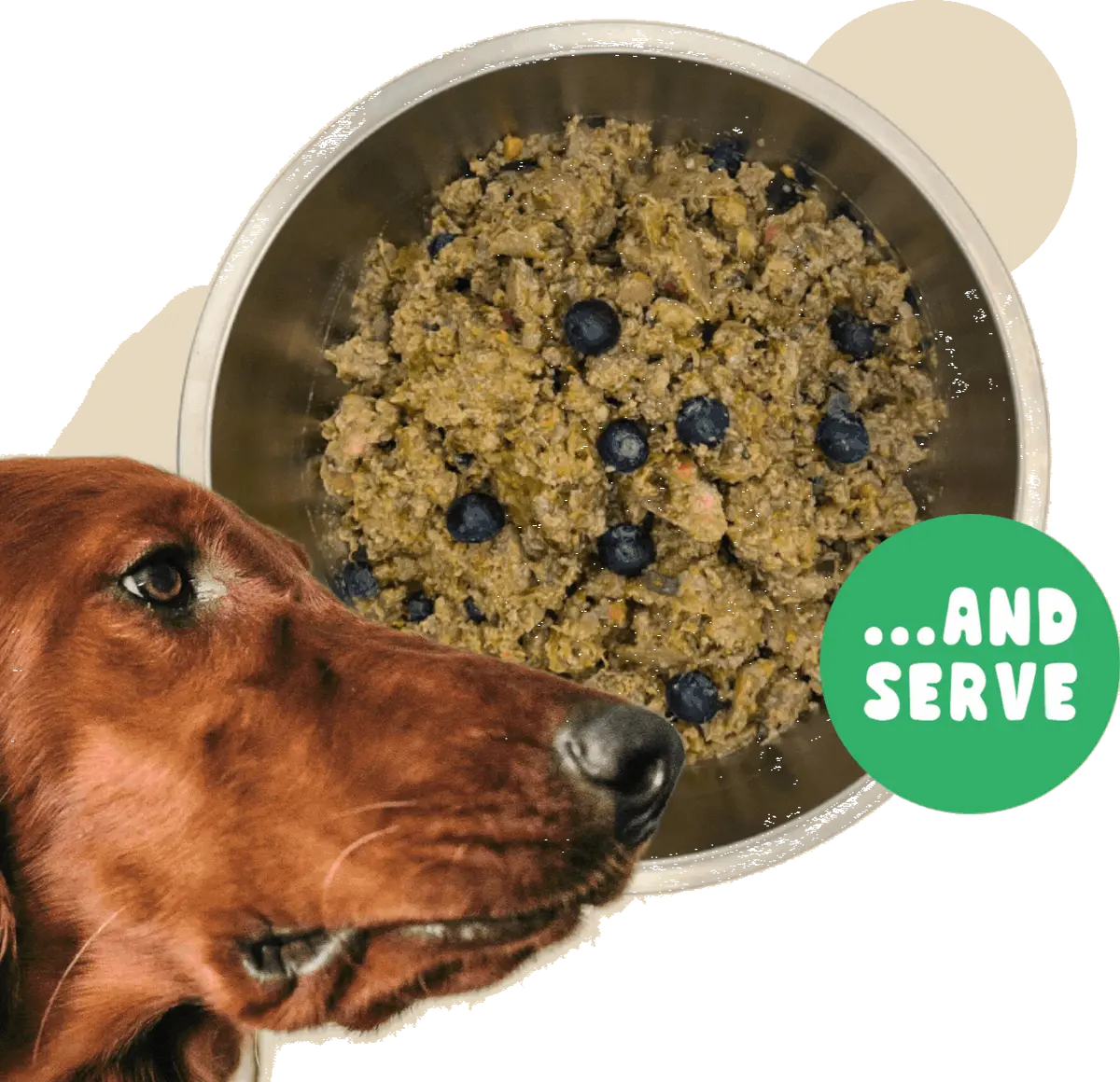 California Dog Kitchen Wild Boar & Quinoa Recipe Frozen Dog Food 2