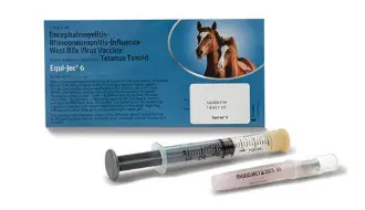 Equi-Jec 6 Equine Vaccine 1