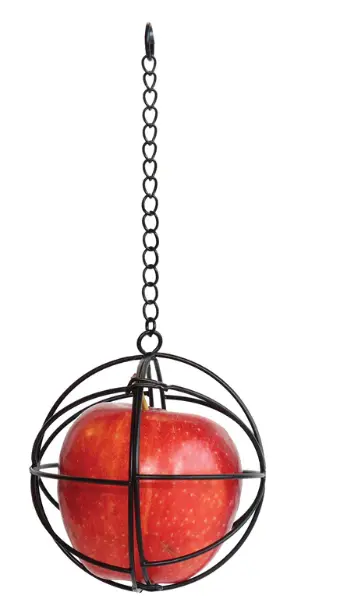 Little Giant Hanging Chicken Treat Ball 1