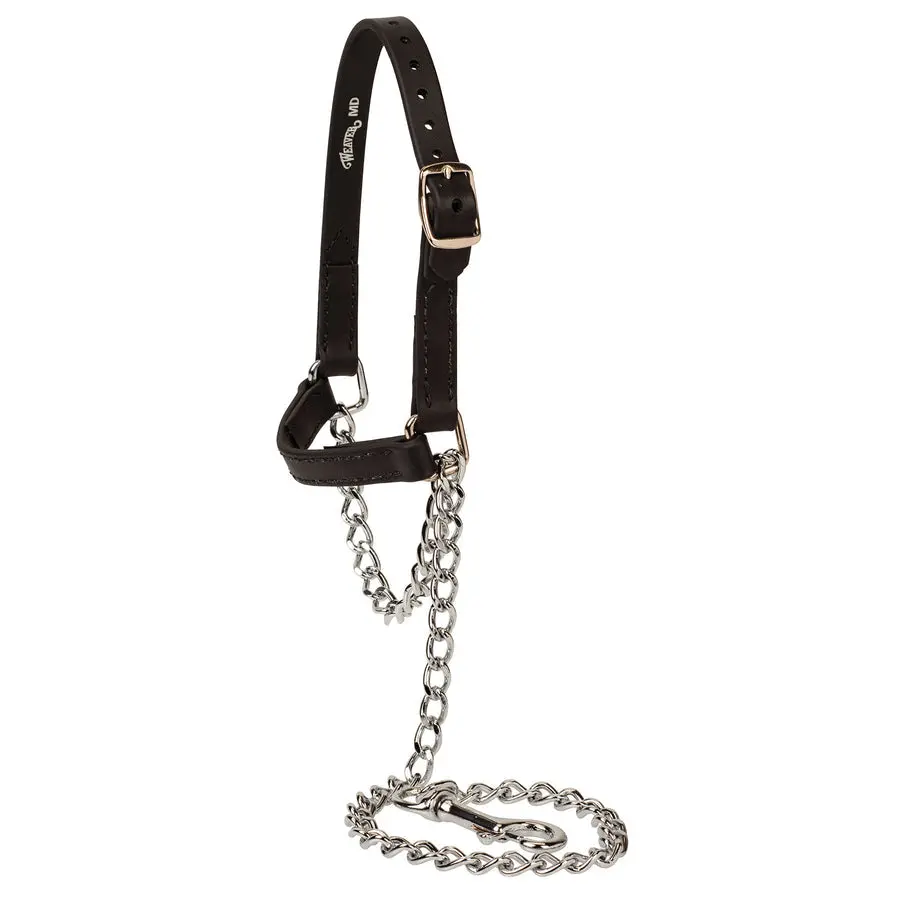 Weaver Sheep And Goat Brahma Webb® Halters 1