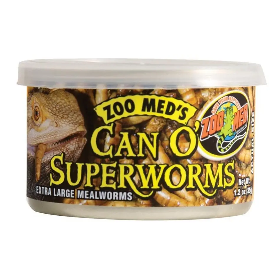 Can O' Superworms Extra Large Mealworms 1