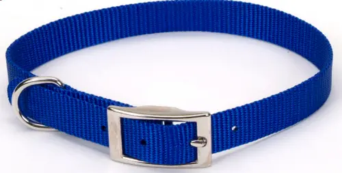 Coastal Pet Products Standard Nylon Small And Medium Dog Collar 1