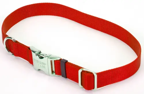 Coastal Pet Products Titan Metal Buckle Adjustable Nylon Medium Dog Collar 1