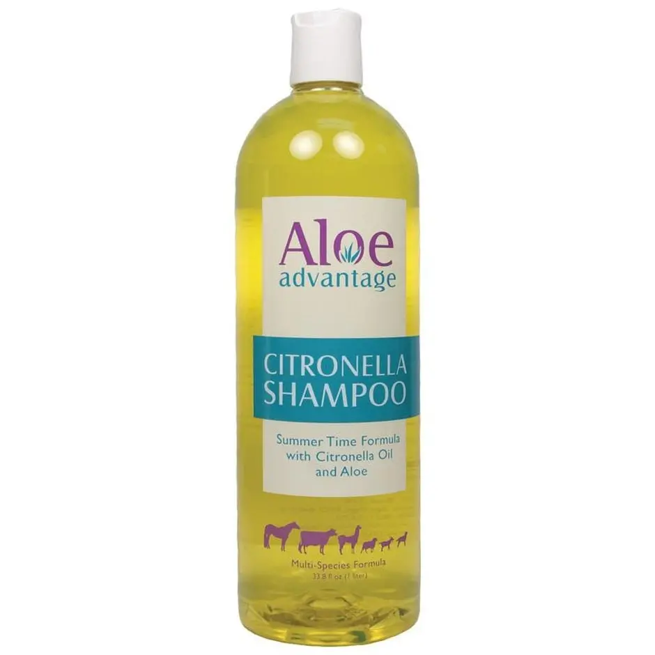 Aloe Advantage Citronella Shampoo 16X Conc 1