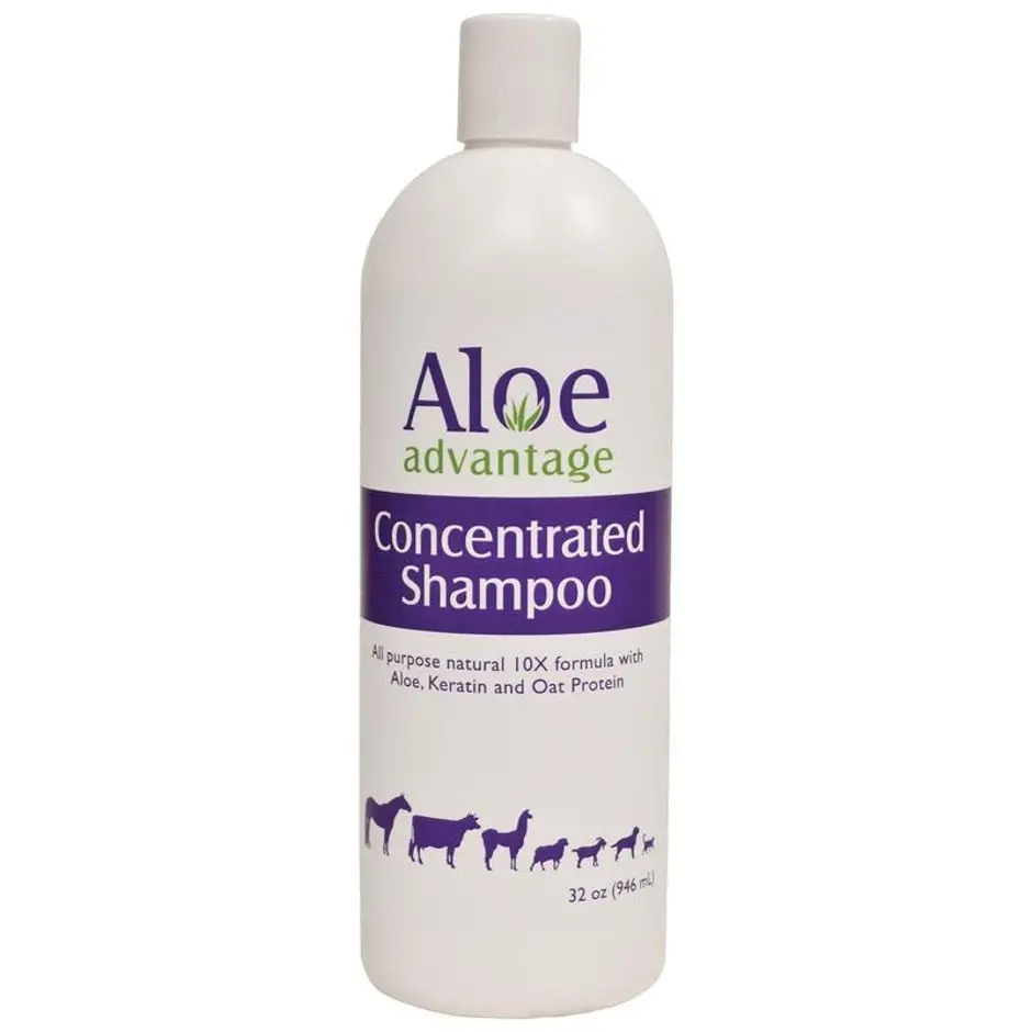 Aloe Advantage Concentrated Shampoo 1