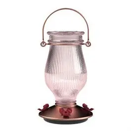 Hummingbird Feeder, Sun Kissed 1