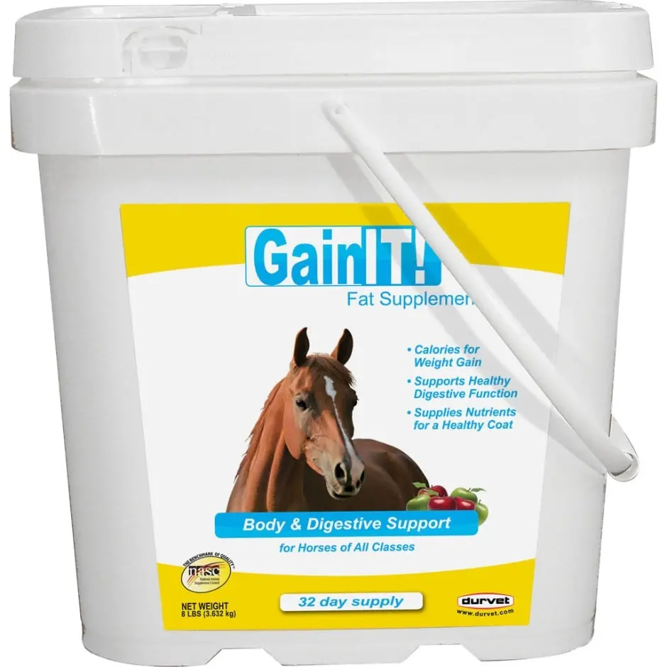 Durvet Gain It Fat Supplement Equine 1