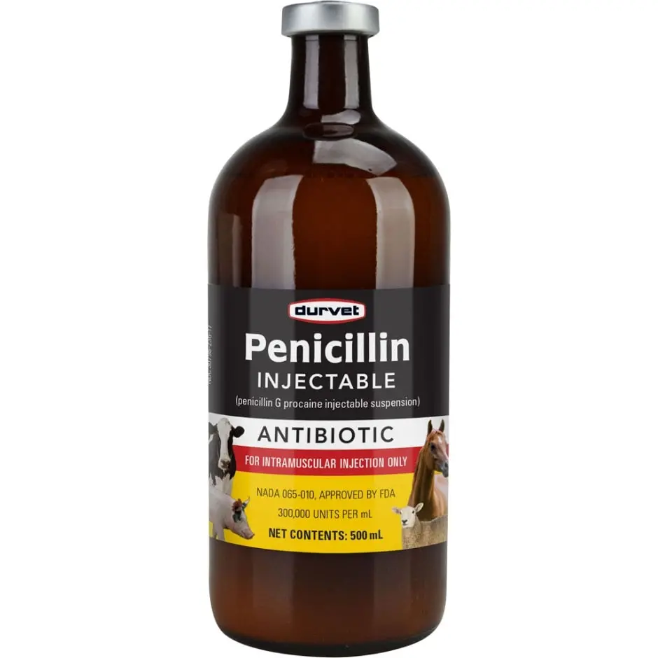 Durvet Penicillin G Procaine Injectable 1